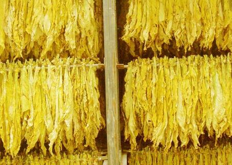 烤煙熱泵烘干工藝，烤煙烘干解決方案