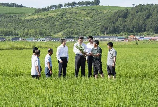  中央高層重視糧食安全，熱泵烘干市場未來可期